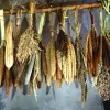 छाया- दैनिक भास्कर